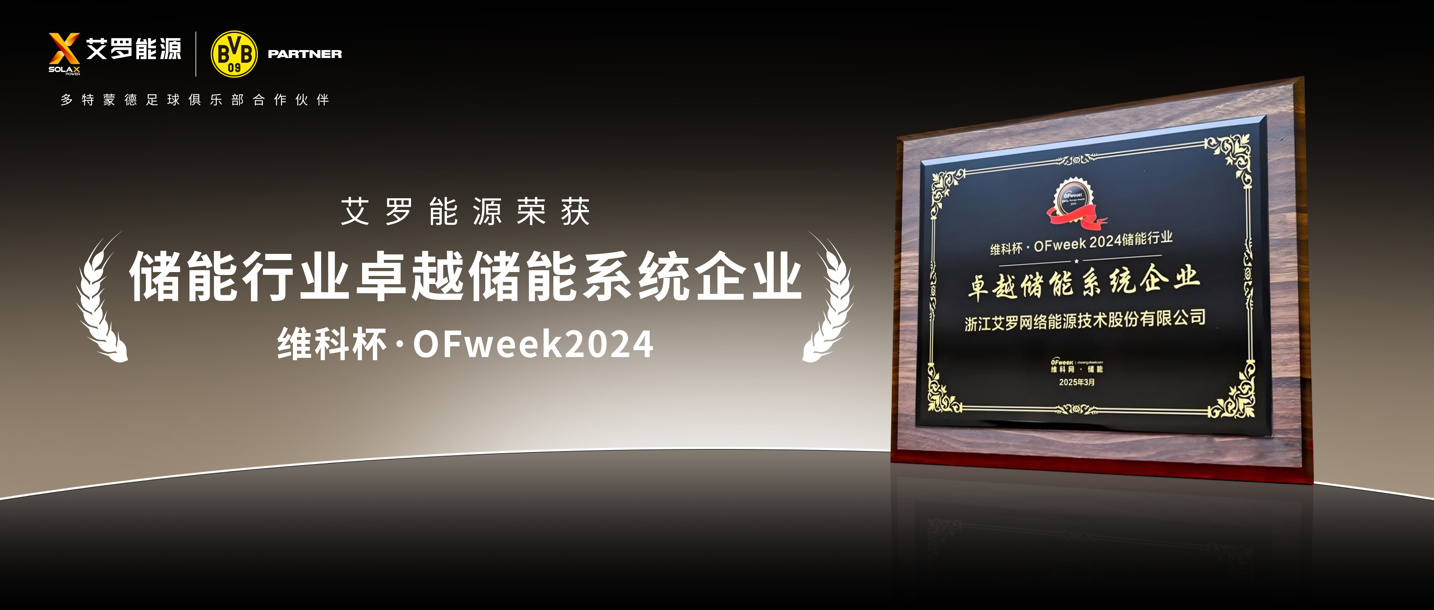 实力见证！冠军国际能源荣膺“2024维科杯·卓越储能系统企业”殊荣！